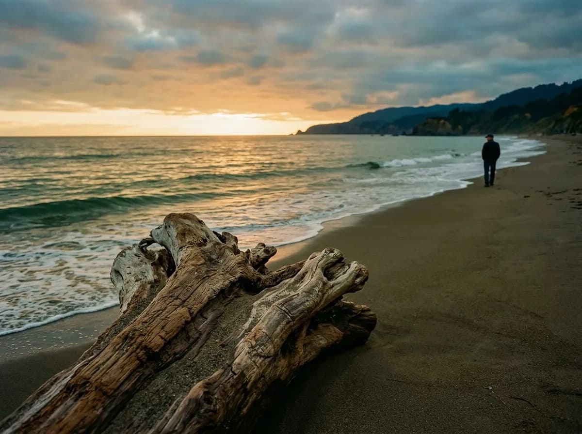 Driftwood Conversations at High Tide - Free bedtime stories for adults Driftwood Conversations at High Tide - Free bedtime stories for adults